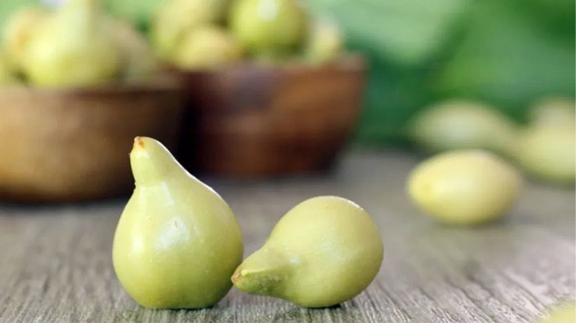 Green Kakadu plums on a timber board with bowls behind — Kakadu plum in the Jellyfish Peptide serum