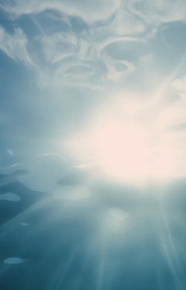 Protecting Your Investment